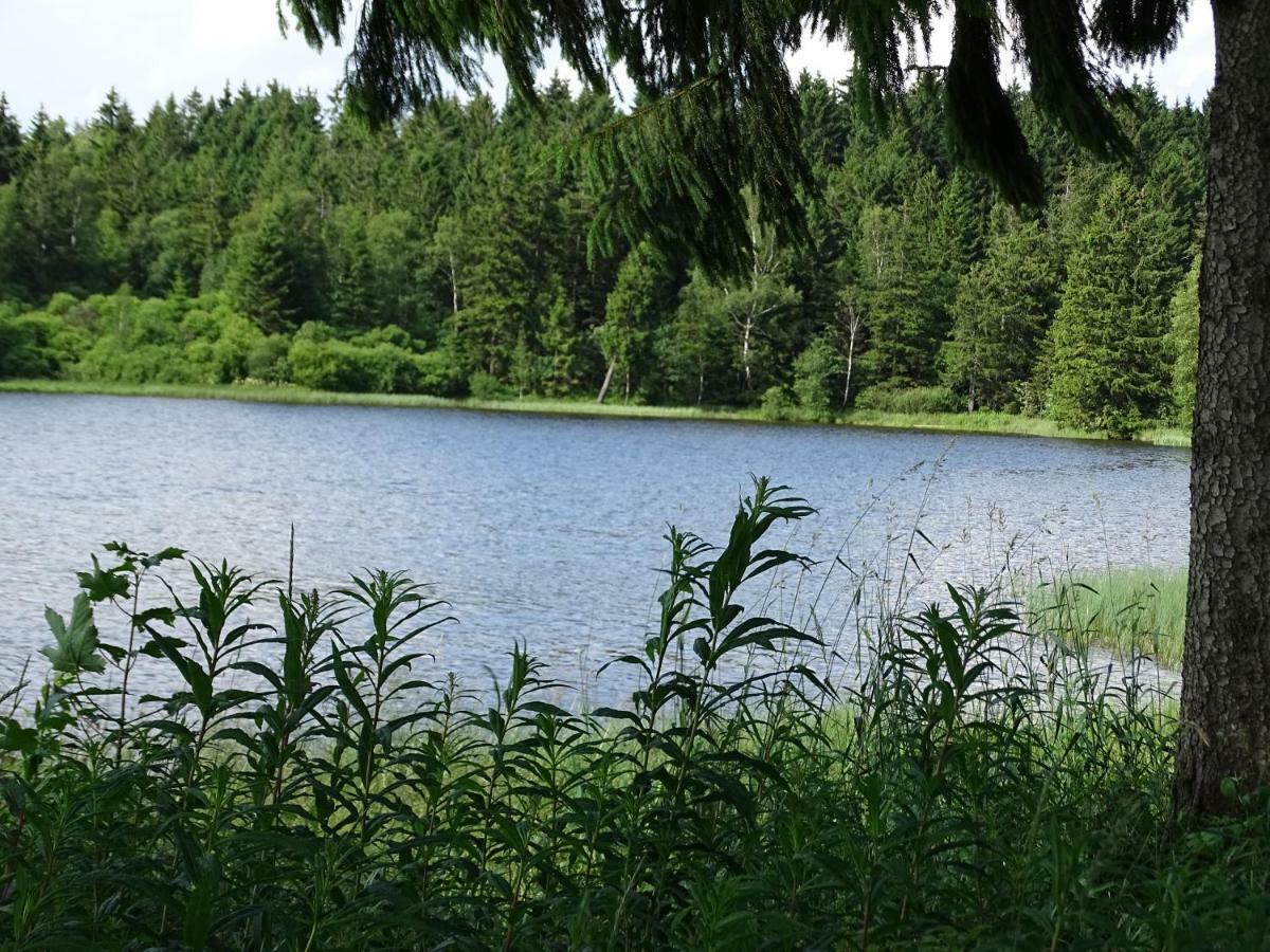 Hüttenflair am See mit Kamin Clausthal-Zellerfeld Exterior foto